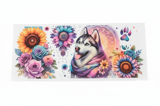 Product #41 with white background