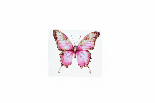 Product image with butterfly right side up